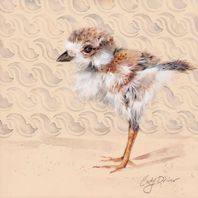 SANDPIPER CHICK - Museum Quality Art