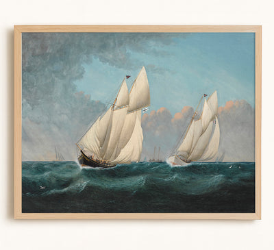 Schooner Yachts Racing, Palmer vs. Dreadnaught