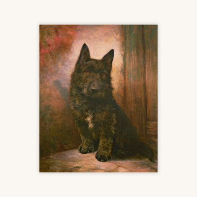 SCOTTIE PUPPY — Primary Image