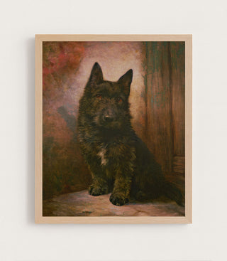 SCOTTIE PUPPY - Museum Quality Art