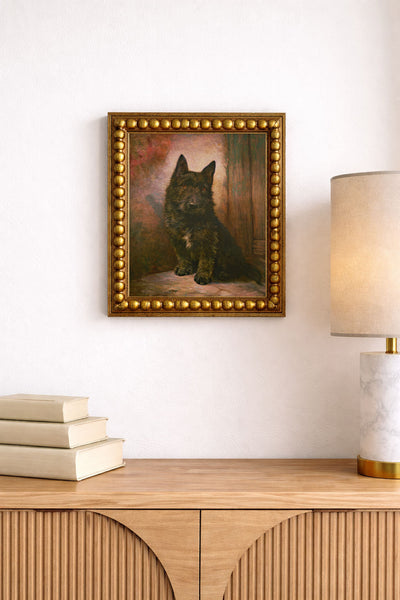 Scottie Puppy