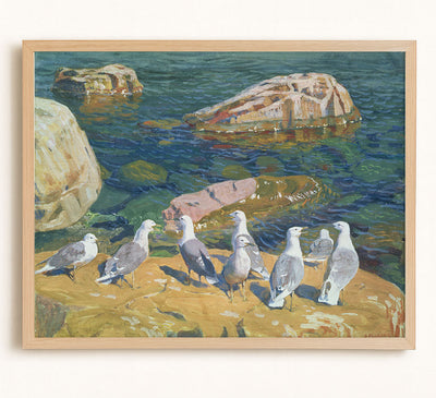 Seagulls