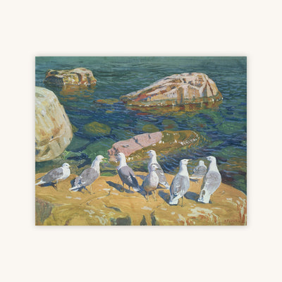 SEAGULLS — Primary Image