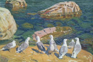 SEAGULLS