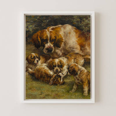 Setter Litter