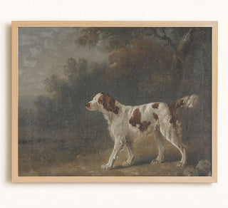 SETTER - Museum Quality Art