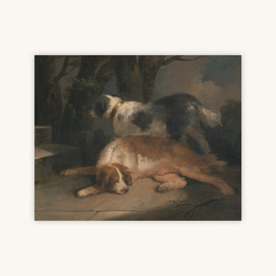 SETTERS — Primary Image