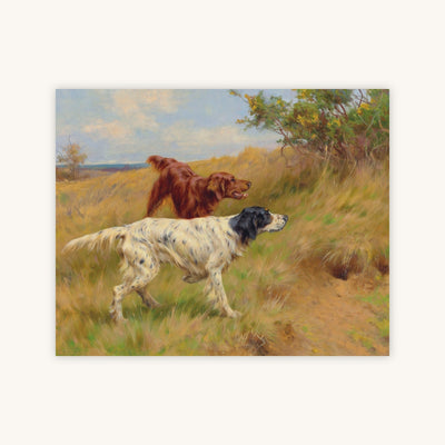 SETTERS — Primary Image