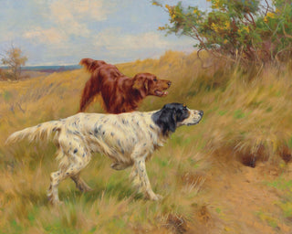Setters