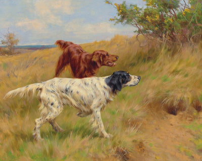 Setters