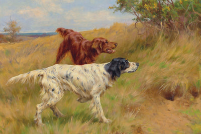 Setters