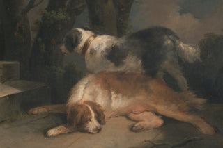 Setters