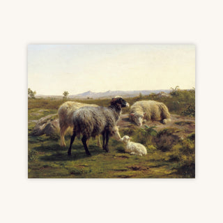 SHEEP AND LAMBS — Primary Image