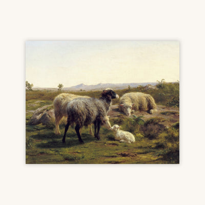SHEEP AND LAMBS — Primary Image
