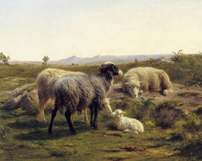 SHEEP AND LAMBS