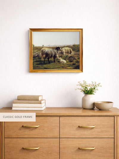 Sheep and Lambs