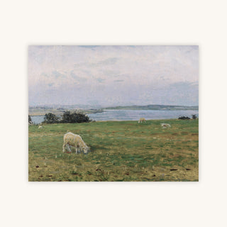 SHEEP GRAZING — Primary Image