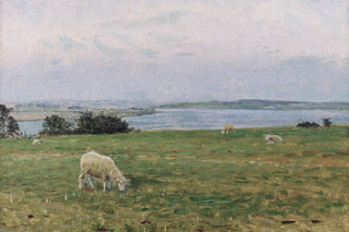 SHEEP GRAZING