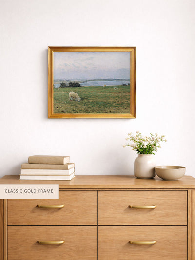 Sheep Grazing