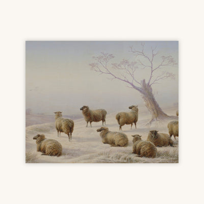 SHEEP IN SNOW — Primary Image
