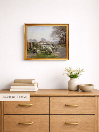 Sheep in Spring