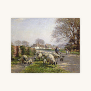 SHEEP IN SPRING — Primary Image