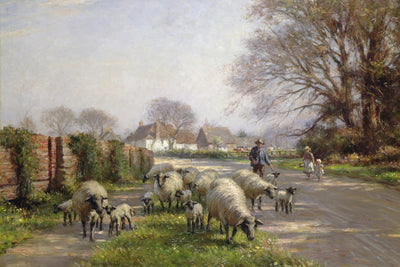SHEEP IN SPRING