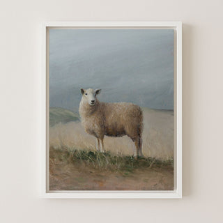 Sheep Study