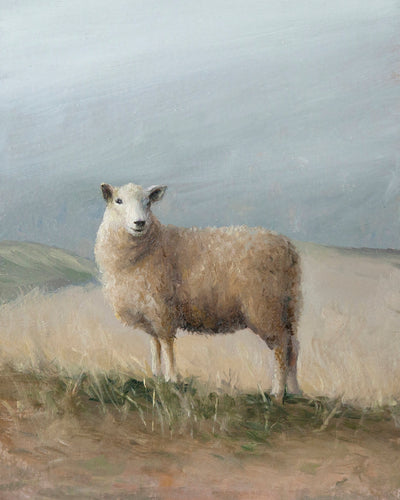 SHEEP STUDY