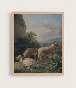 SHEEP - Museum Quality Art