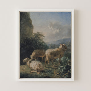 SHEEP - Museum Quality Art