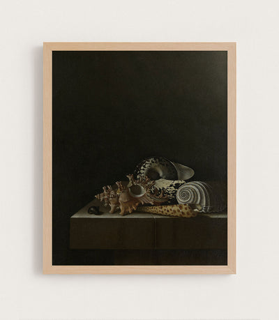 Shells on a Stone Plinth