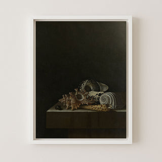 Shells on a Stone Plinth