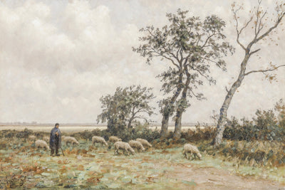 SHEPHERD