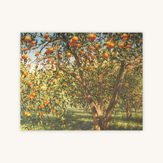 SILENCE UNDER THE ORANGES I — Primary Image