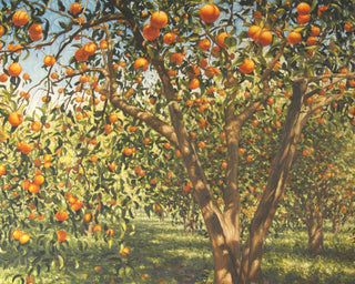 SILENCE UNDER THE ORANGES I