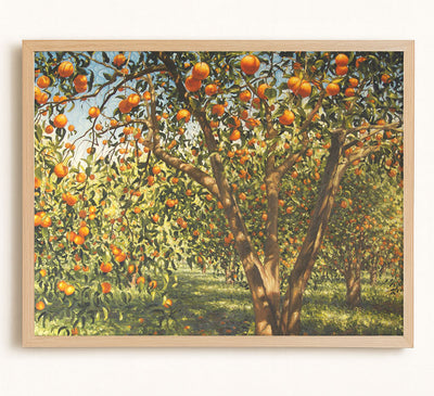Silence Under the Oranges I