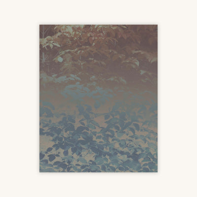 Silk Trees III — Primary Image