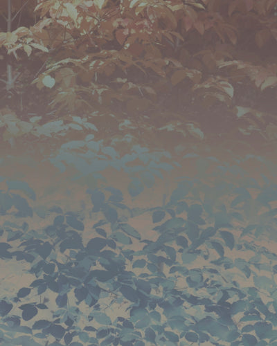 Silk Trees III