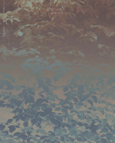 Silk Trees III