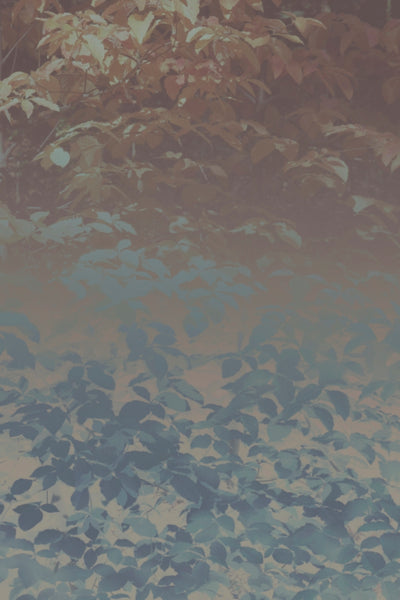 SILK TREES III - Museum Quality Art
