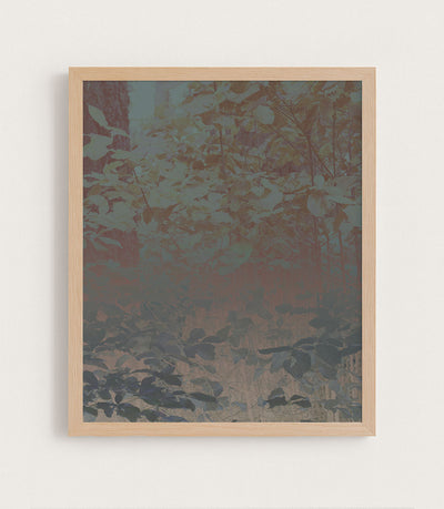 Silk Trees II