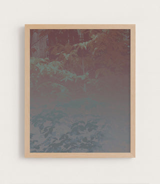 Silk Trees I