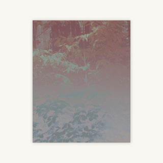 Silk Trees I — Primary Image