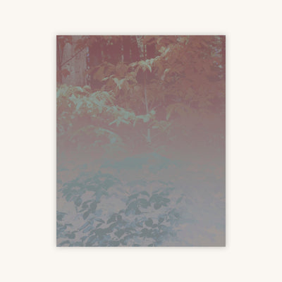 Silk Trees I — Primary Image