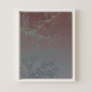 Silk Trees I