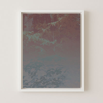 Silk Trees I