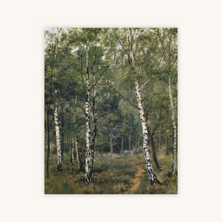 SILVER BIRCHES — Primary Image