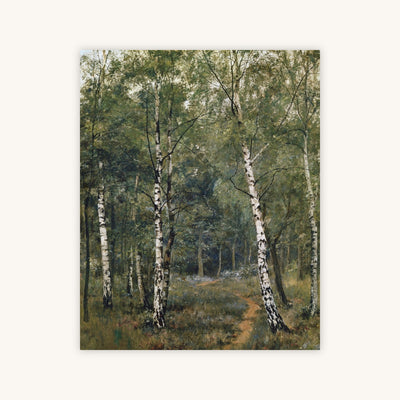 SILVER BIRCHES — Primary Image
