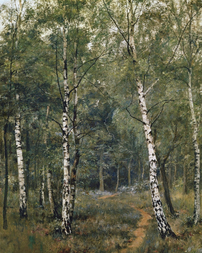 SILVER BIRCHES